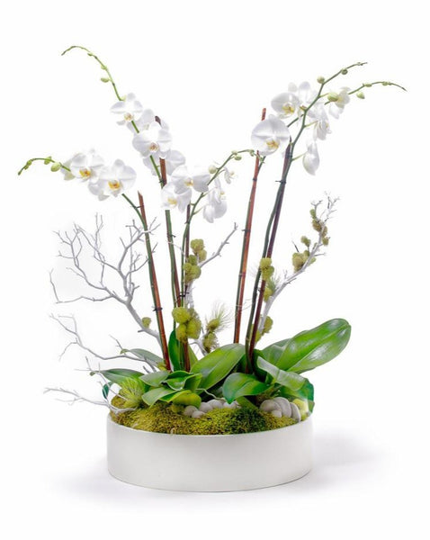 EDG Enzo De Gasperi Phalaenopsis Orchid 6 flowers H64 cm White – Le Gioie